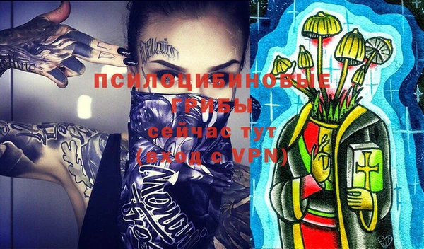 мет Пересвет