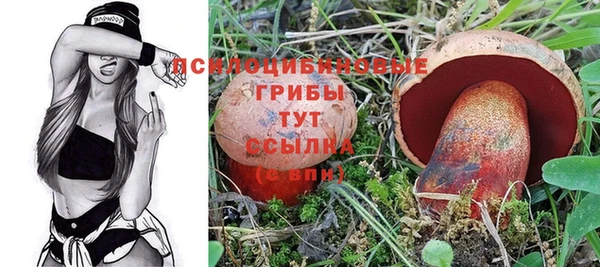 мет Пересвет