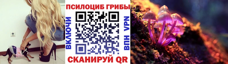 Псилоцибиновые грибы Psilocybine cubensis  наркошоп  Холм 